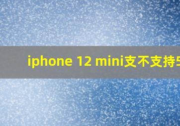 iphone 12 mini支不支持5g